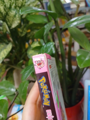POKÉMON CUỘC PHIÊU LƯU CỦA PIPPI (TẬP 1 - TẬP 14) - KOSAKU ANAKUBO
