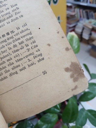 PHẬT GIÁO - TRẦN TRỌNG KIM 