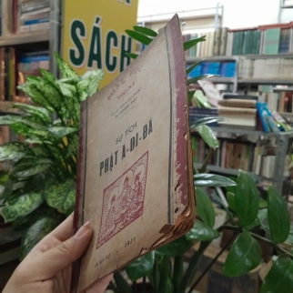 SỰ TÍCH PHẬT A DI ĐÀ - CAO HẢI NHẠT