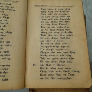 DIỆU PHÁP LIÊN HOA KINH - THÍCH TRÍ TỊNH