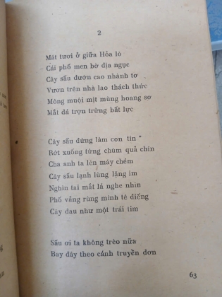 CỬA MỞ - VIỆT PHƯƠNG