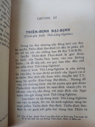 NGƯỜI CƯ SĨ TU THIỀN - THUẦN TÂM