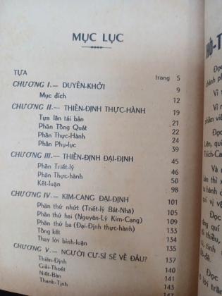 NGƯỜI CƯ SĨ TU THIỀN - THUẦN TÂM