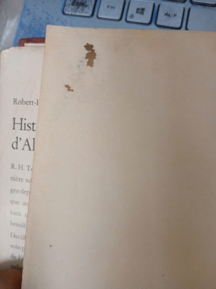 HISTOIRE D' ALLEMAGNE (LỊCH SỬ NƯỚC ĐỨC) - TENBROCK