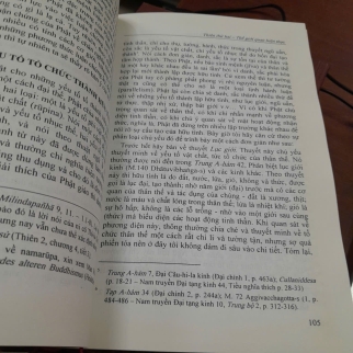 NGUYÊN THỦY PHẬT GIÁO TƯ TƯỞNG LUẬN - KIMURA TAIKEN ( THÍCH QUẢNG ĐỘ DỊCH)