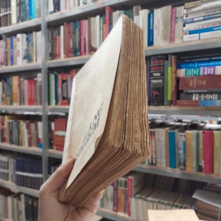 KINH LĂNG NGHIÊM - TRÍ ĐỘ VÀ TUỆ QUANG (DỊCH VÀ BÌNH LUẬN)