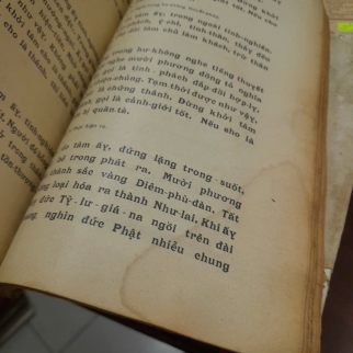 KINH LĂNG NGHIÊM - TRÍ ĐỘ VÀ TUỆ QUANG (DỊCH VÀ BÌNH LUẬN)