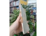 CỬA MỞ - VIỆT PHƯƠNG