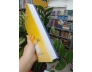 TÌM HIỂU CỔ NHẠC BẠC LIÊU (BÌA CỨNG) - TRẦN PHƯỚC THUẬN 
