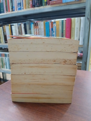 NỬA CÕI SƠN HÀ (6 TẬP) - NAM KIM THẠCH