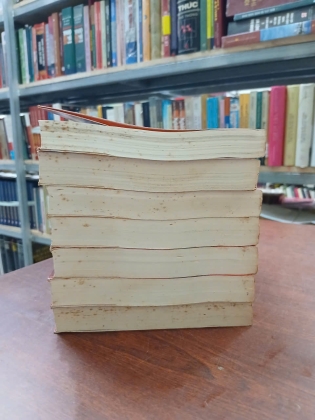 ĐIỆU SÁO MÊ HỒN - NGỌA LONG SINH