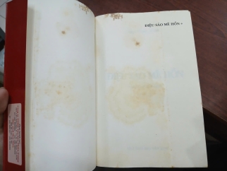 ĐIỆU SÁO MÊ HỒN - NGỌA LONG SINH