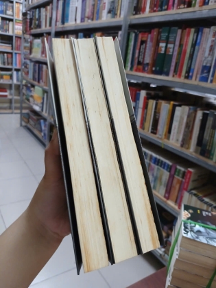 NGỌA HỔ TÀNG LONG - VƯƠNG ĐỘ LƯ