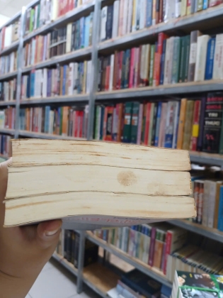 NGỌA HỔ TÀNG LONG - VƯƠNG ĐỘ LƯ