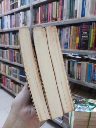 NGỌA HỔ TÀNG LONG - VƯƠNG ĐỘ LƯ