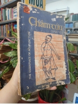 CHÂM CỨU GIẢN YẾU 