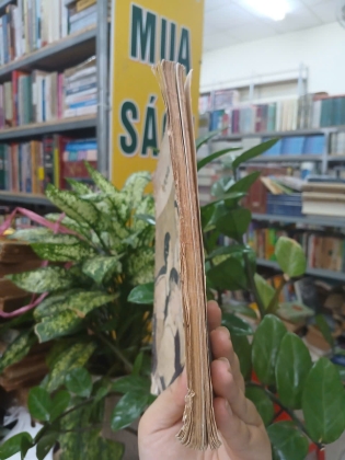 NGUYỄN ĐỖ CUNG - CHU QUANG TRỨ, KHƯƠNG HUÂN, NGUYỄN TRÂN