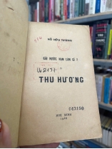 GÁI NƯỚC NAM LÀM GÌ? - HỒ HỮU TƯỜNG