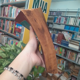 BÀI GIẢNG GIẢI PHẪU HỌC (TẬP 2) - NGUYỄN QUANG QUYỀN