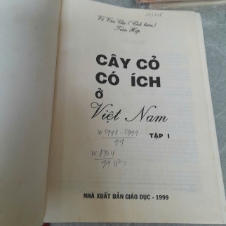 CÂY CỎ CÓ ÍCH Ở VIỆT NAM  (TẬP 1) - VÕ VĂN CHI, TRẦN HỢP