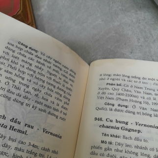 CÂY CỎ CÓ ÍCH Ở VIỆT NAM  (TẬP 1) - VÕ VĂN CHI, TRẦN HỢP