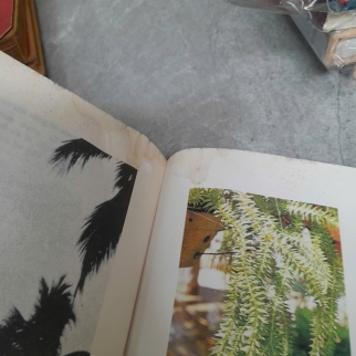 CÂY CỎ CÓ ÍCH Ở VIỆT NAM  (TẬP 1) - VÕ VĂN CHI, TRẦN HỢP