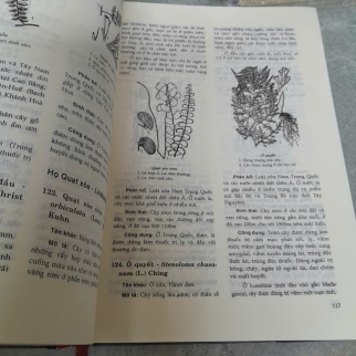 CÂY CỎ CÓ ÍCH Ở VIỆT NAM  (TẬP 1) - VÕ VĂN CHI, TRẦN HỢP