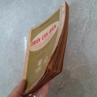 THIỀN CĂN BẢN - THÍCH THANH TỪ DỊCH