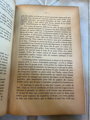 CHASSES ET FAUNE  D'INDOCHINE - HENRI DE MONESTROL