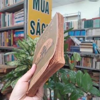 VIỆT NAM THI VĂN HỢP TUYỂN - DƯƠNG QUẢNG HÀM 
