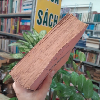 LƯỢC GIẢI KINH HOA NGHIÊM  HÀNH BỒ TÁC ĐẠO TẬP 2B - NHƯ THANH