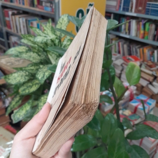 TIÊU SƠN TRÁNG SĨ - KHÁI HƯNG