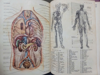 PETIT LAROUSSE - TỪ ĐIỂN MINH HOẠ LAROUSSE