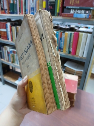 VIỆT NAM SỬ LƯỢC (QUYỂN I + II) - TRẦN TRỌNG KIM