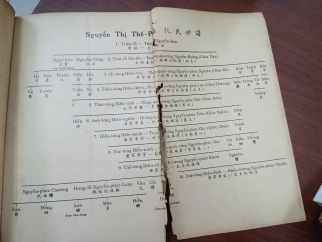 VIỆT NAM SỬ LƯỢC (QUYỂN I + II) - TRẦN TRỌNG KIM