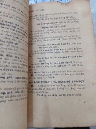 VIỆT NAM VĂN PHẠM - TRẦN TRỌNG KIM