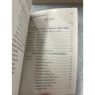 NON NƯỚC NINH THUẬN - NGUYỄN ĐÌNH TƯ