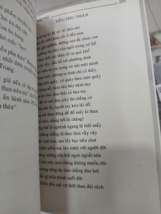 NON NƯỚC XỨ QUẢNG TÂN BIÊN - PHẠM TRUNG VIỆT, HUỲNH MINH