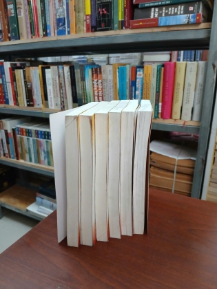 THIÊN ĐỊA HUYẾT BÀI - NGỌA LONG SINH 