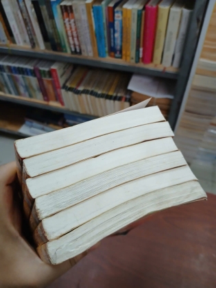 QUẠT LÔI PHONG - LƯƠNG VŨ SINH 