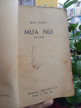 MƯA NÚI - MAI THẢO