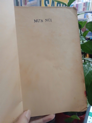 MƯA NÚI - MAI THẢO