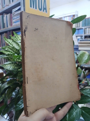 MƯA NÚI - MAI THẢO
