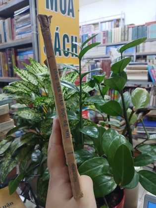 CÔNG DÂN GIÁO DỤC LỚP ĐỆ NHỊ - TRẦN MỘNG CHU, NGUYỄN CAO QUYỀN