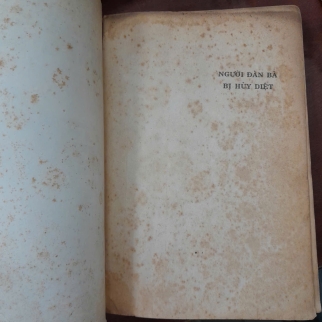 NGƯỜI ĐÀN BÀ BỊ HỦY DIỆT - SIMONE DE BEAUVOIR ( TRẦN THANH TÂM, HUY ANH, VIỆT DŨNG DỊCH)