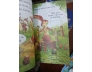 COMBO 26 CUỐN USBORNE YOUNG READING