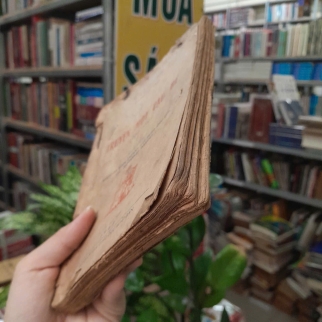 TRUYỆN MỘT CẬU BÉ - ALPHONSE DAUDET (DỊCH GIẢ: NGUYỄN THỊ HẠNH)