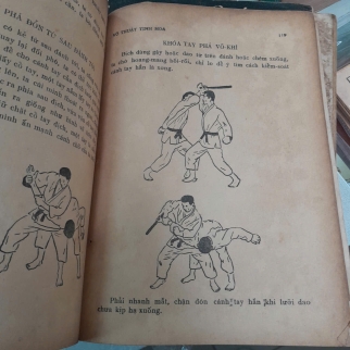 VÕ THUẬT TINH HOA - CỒ VIỆT TỬ