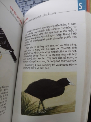 TỪ ĐIỂN TRANH VỀ CÁC CON VẬT - LÊ QUANG LONG