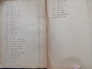VIỆT NAM PHONG TỤC - PHAN KẾ BÍNH 